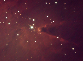 NGC 2264 Cone and Foxfur Nebulae
