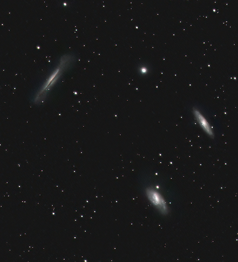 LeoTrio