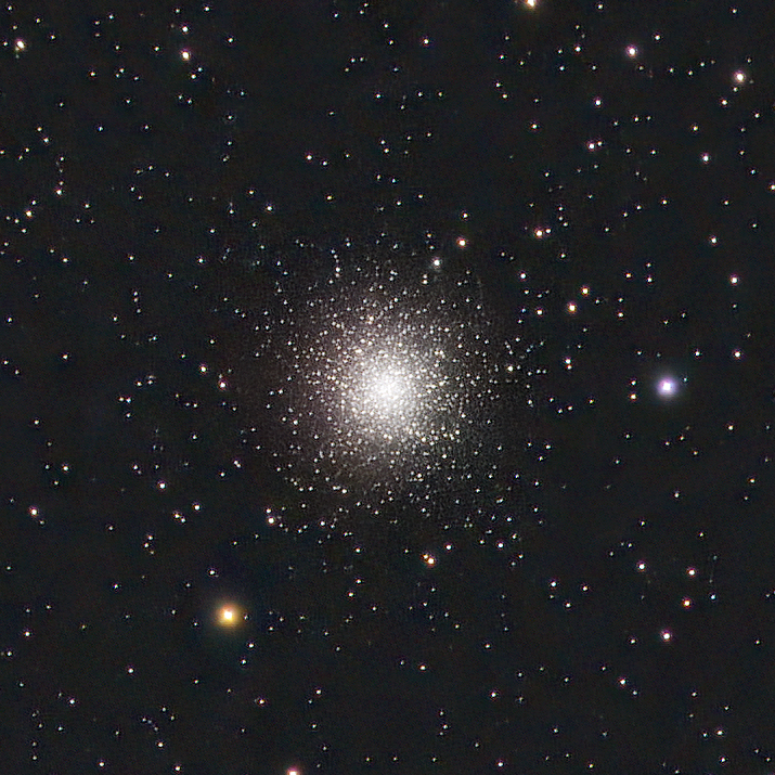 M13