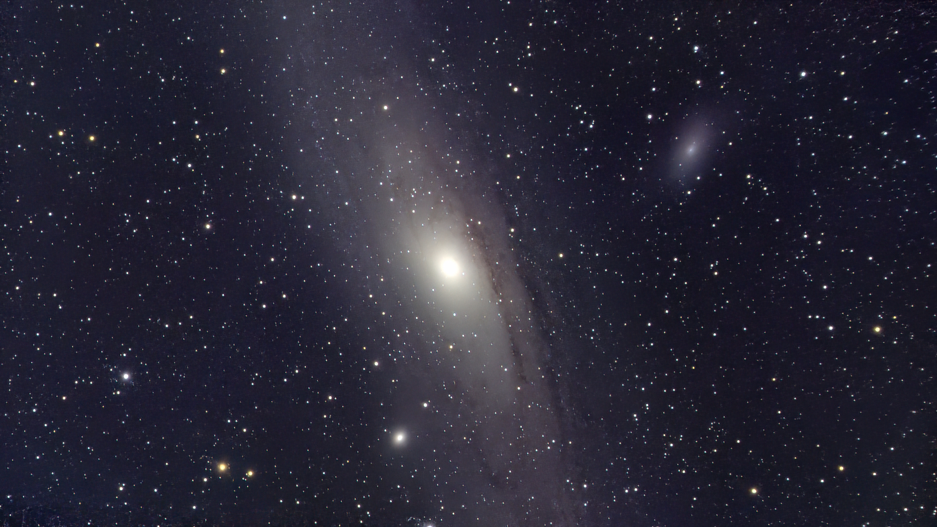 M31