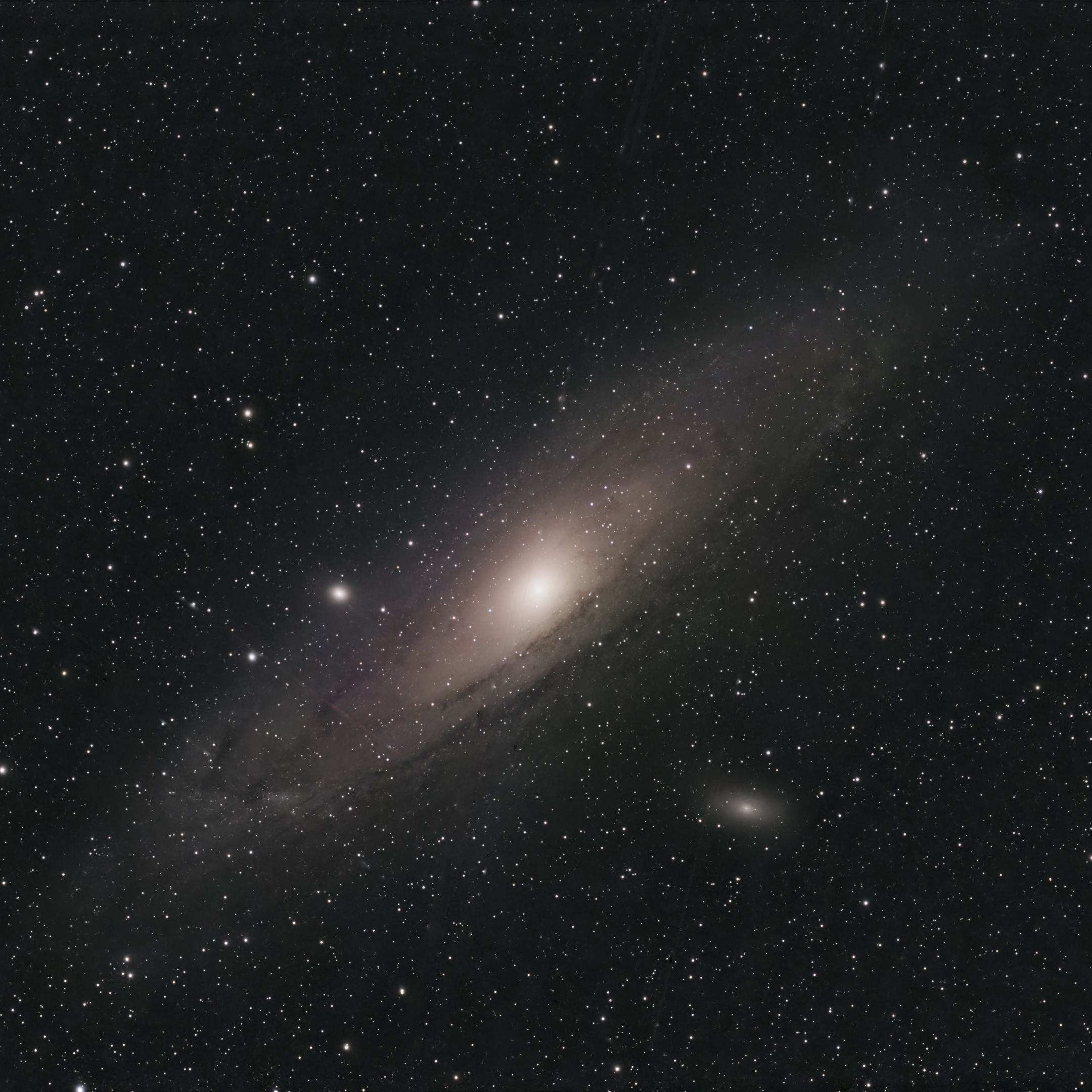 M31