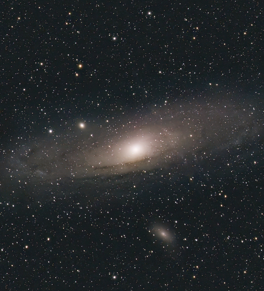 M31