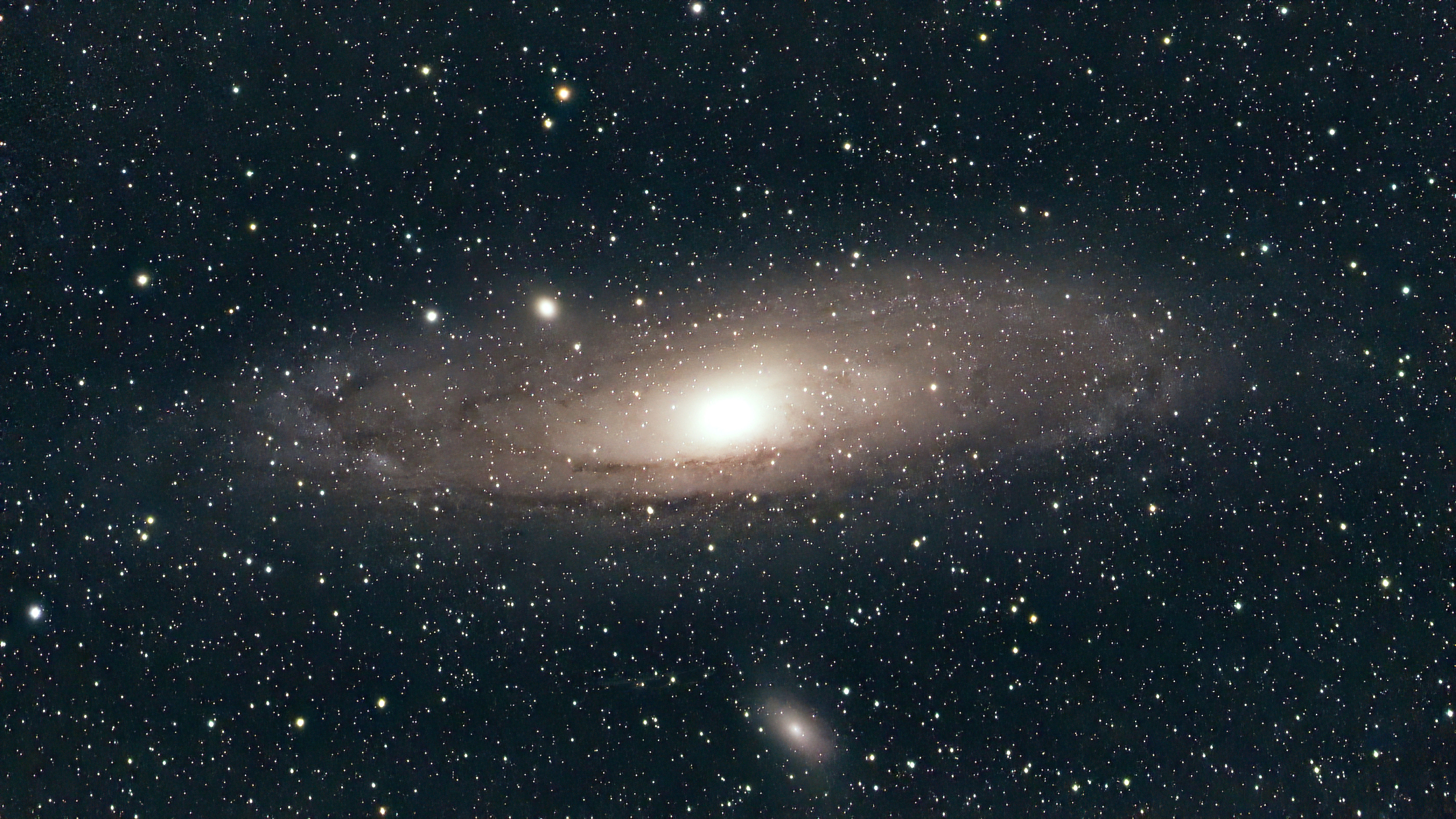 M31