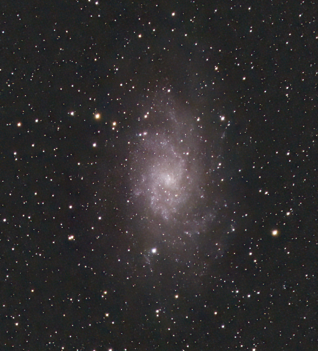 M33