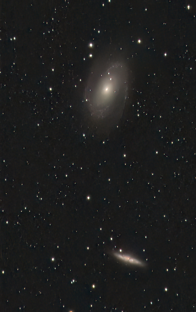 M81