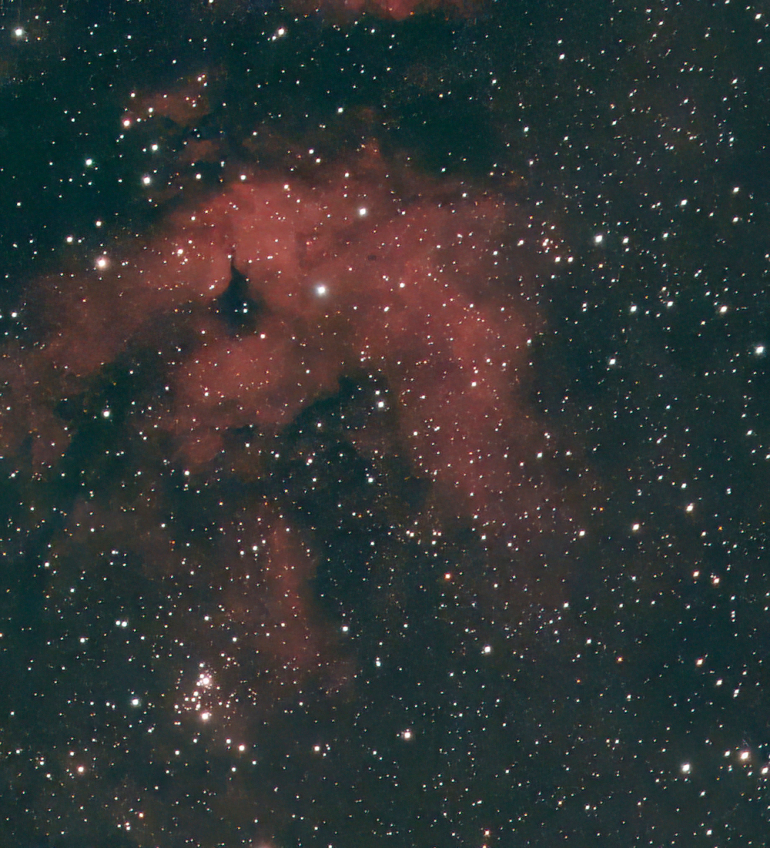 IC1318