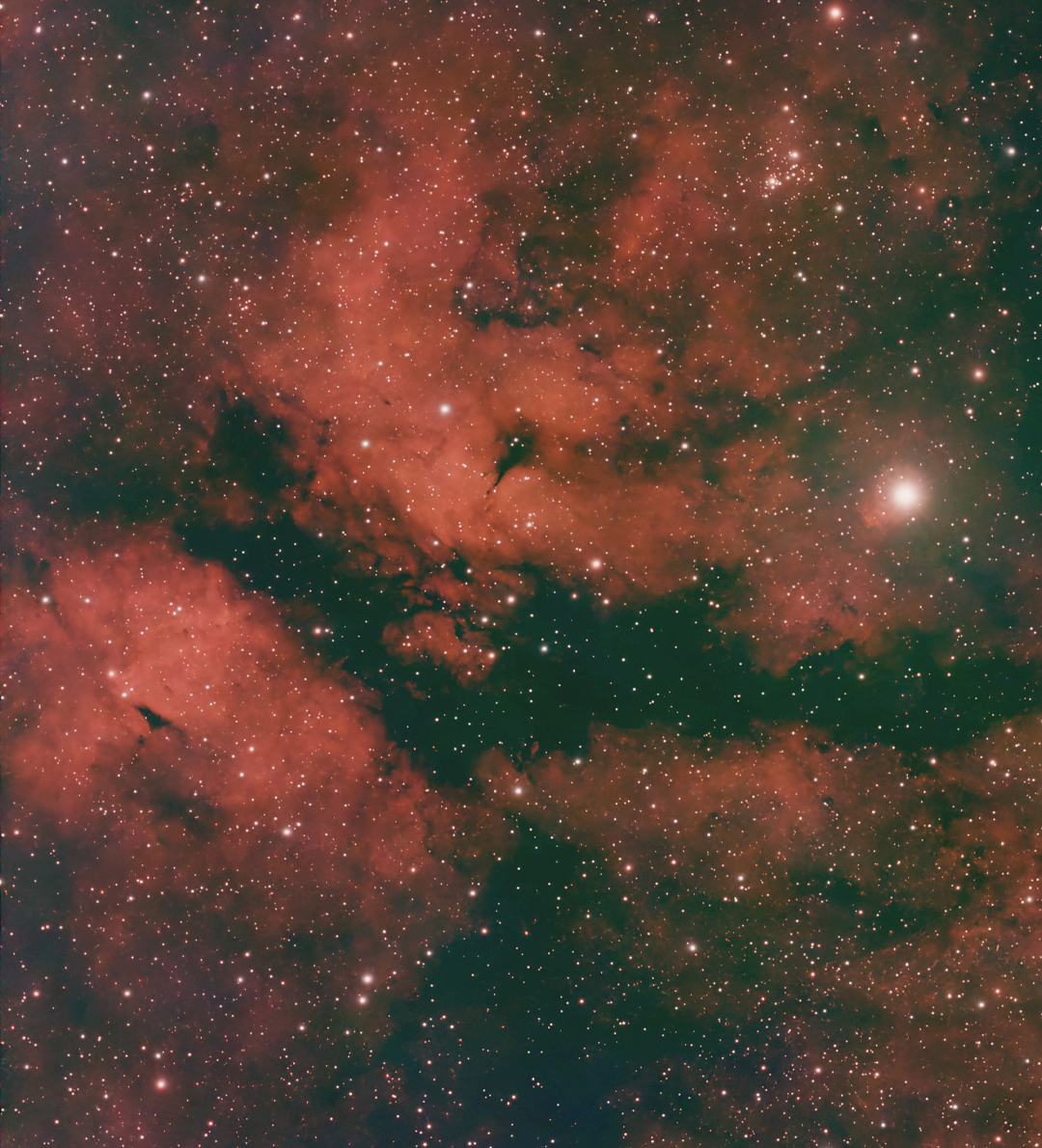 IC1318