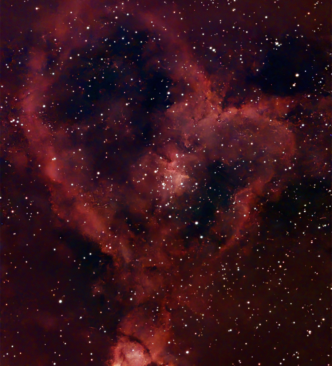 IC1805