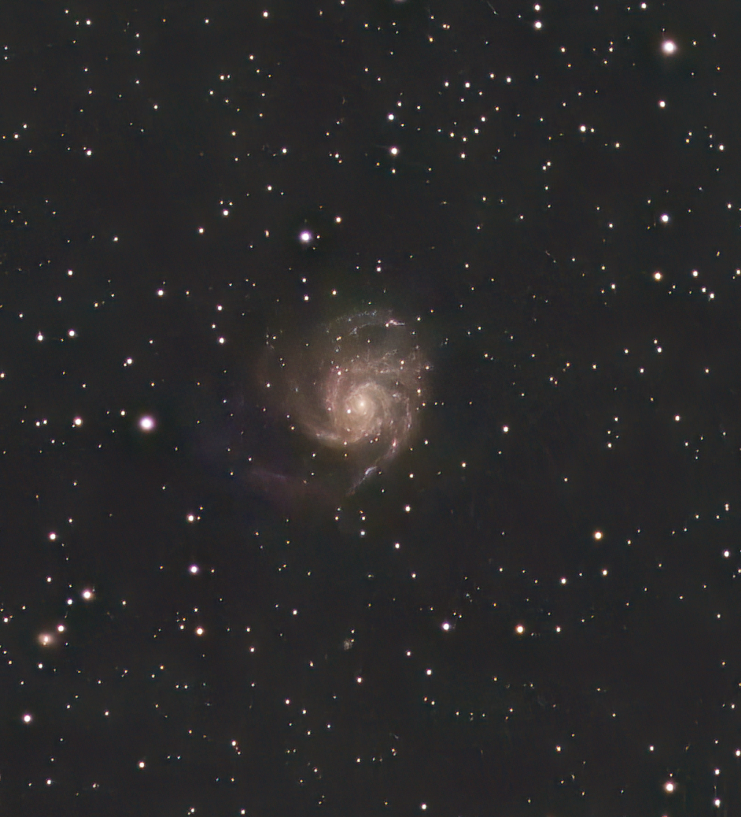 M101