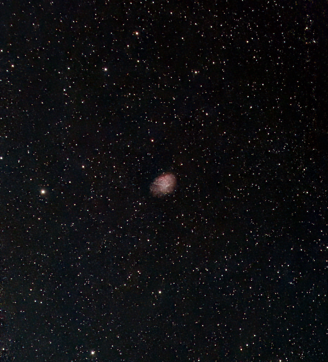 M1