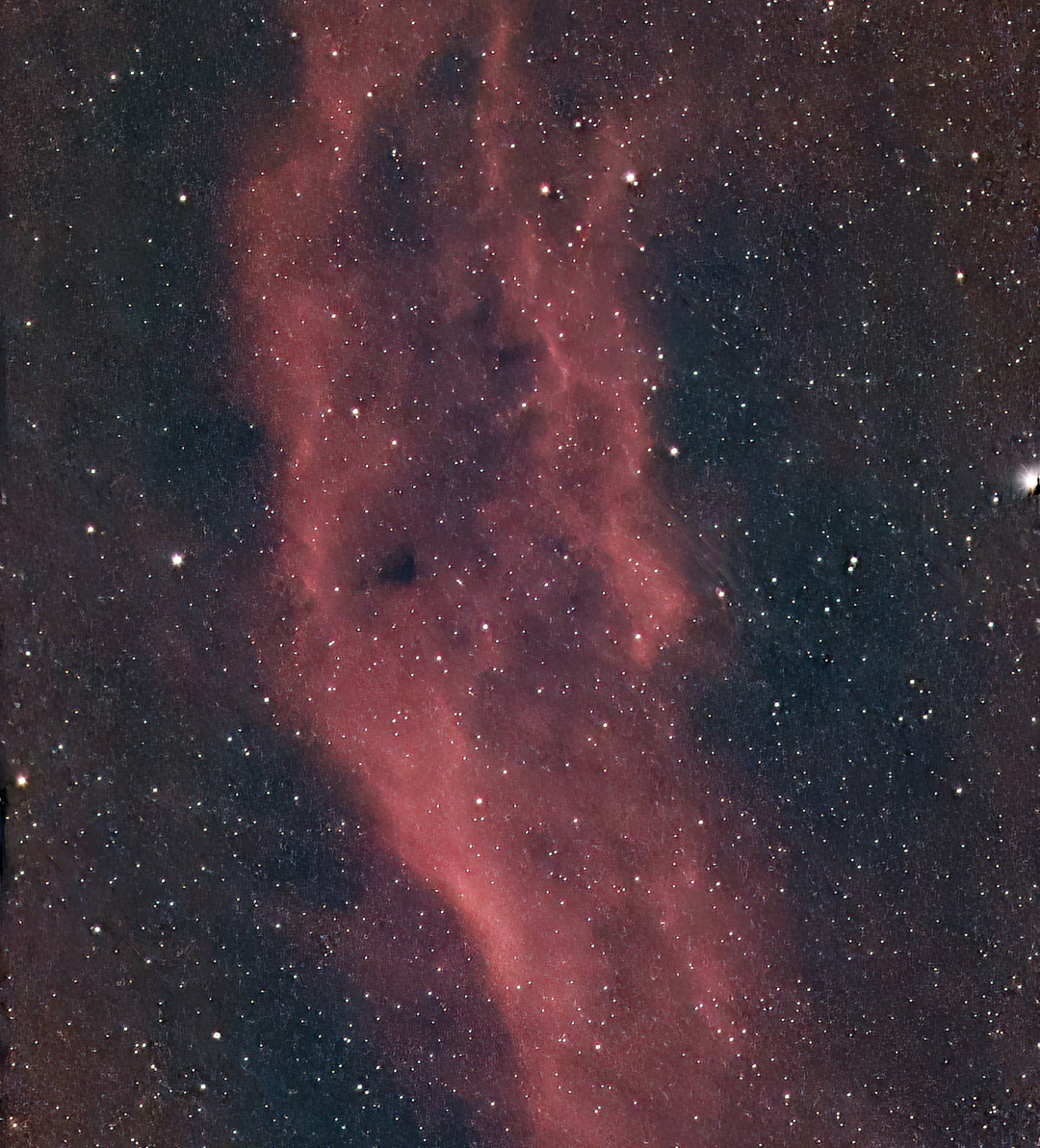 NGC1499