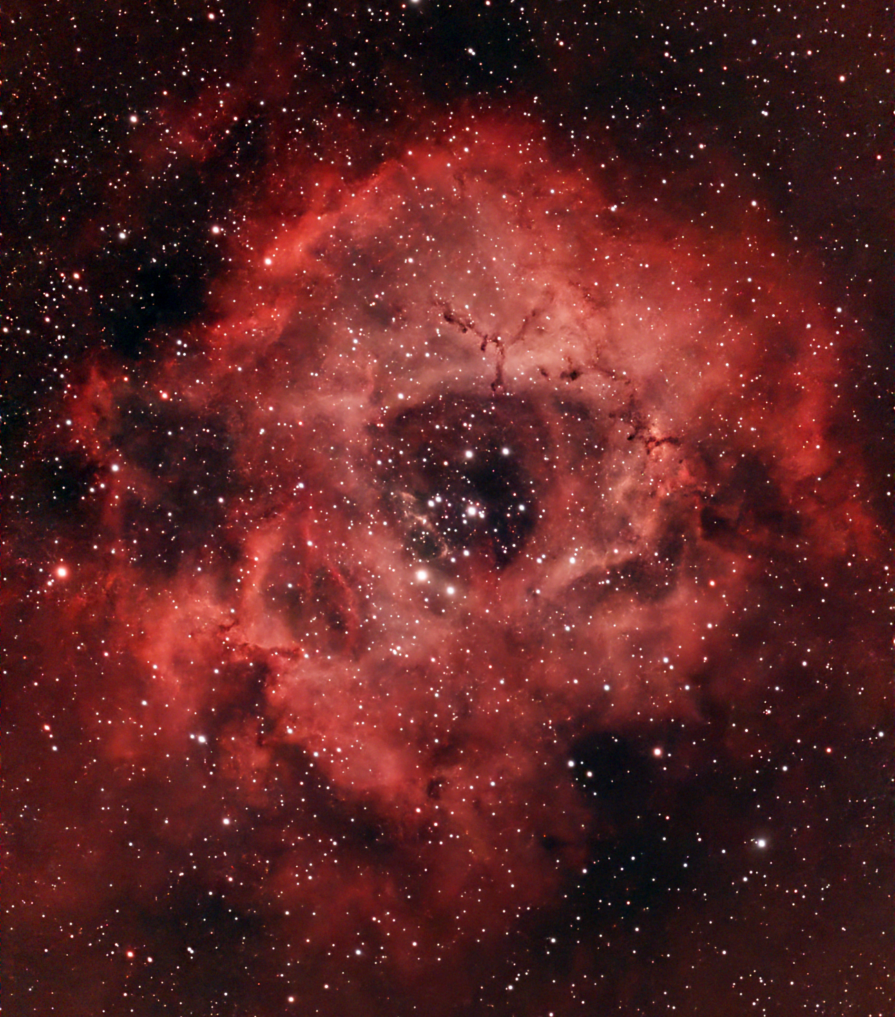 NGC2238
