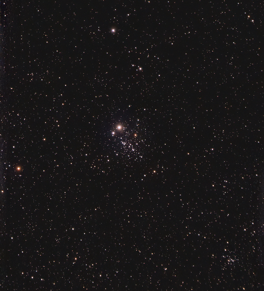 Owl Cluster