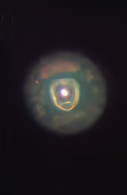 Click for next image
