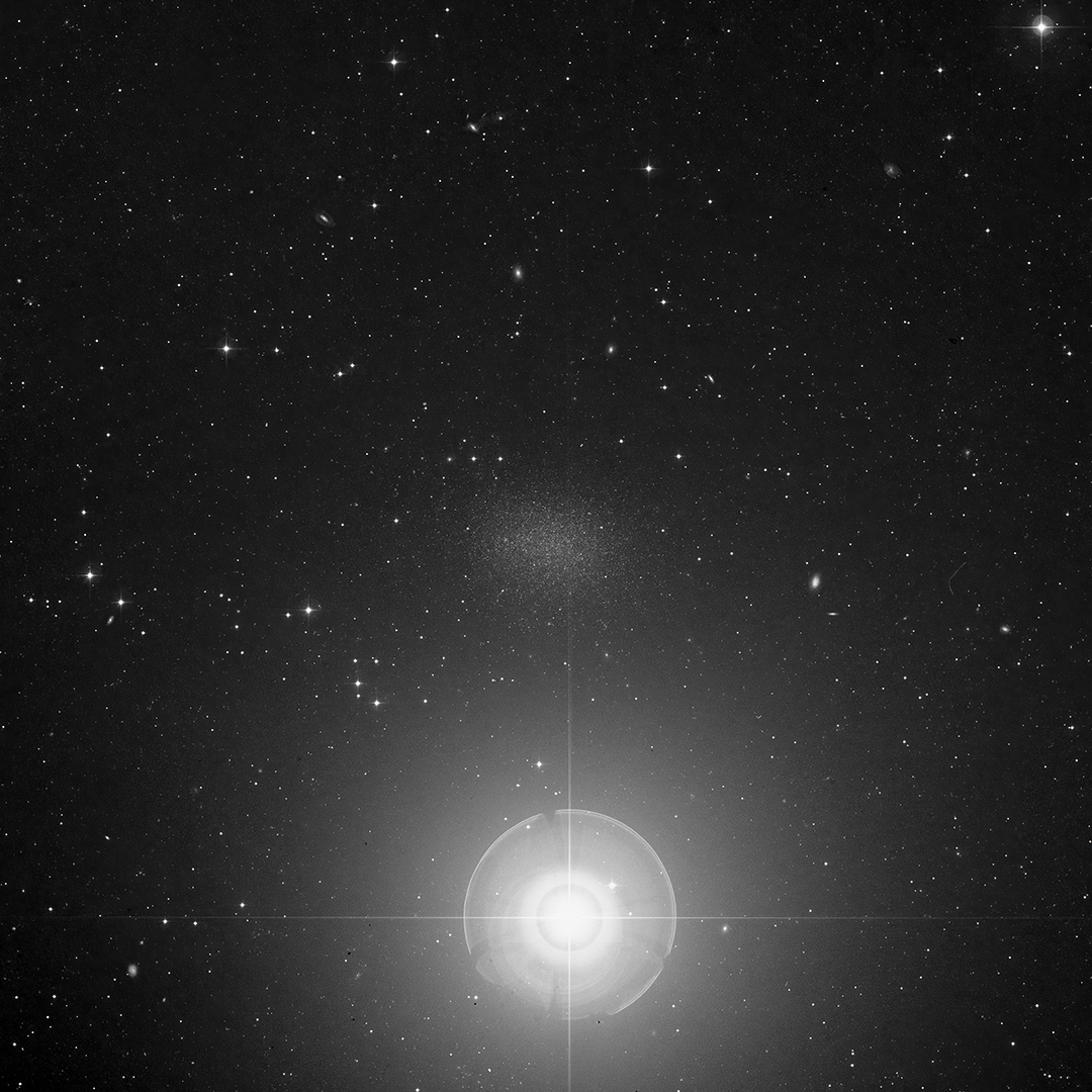 Leo1
