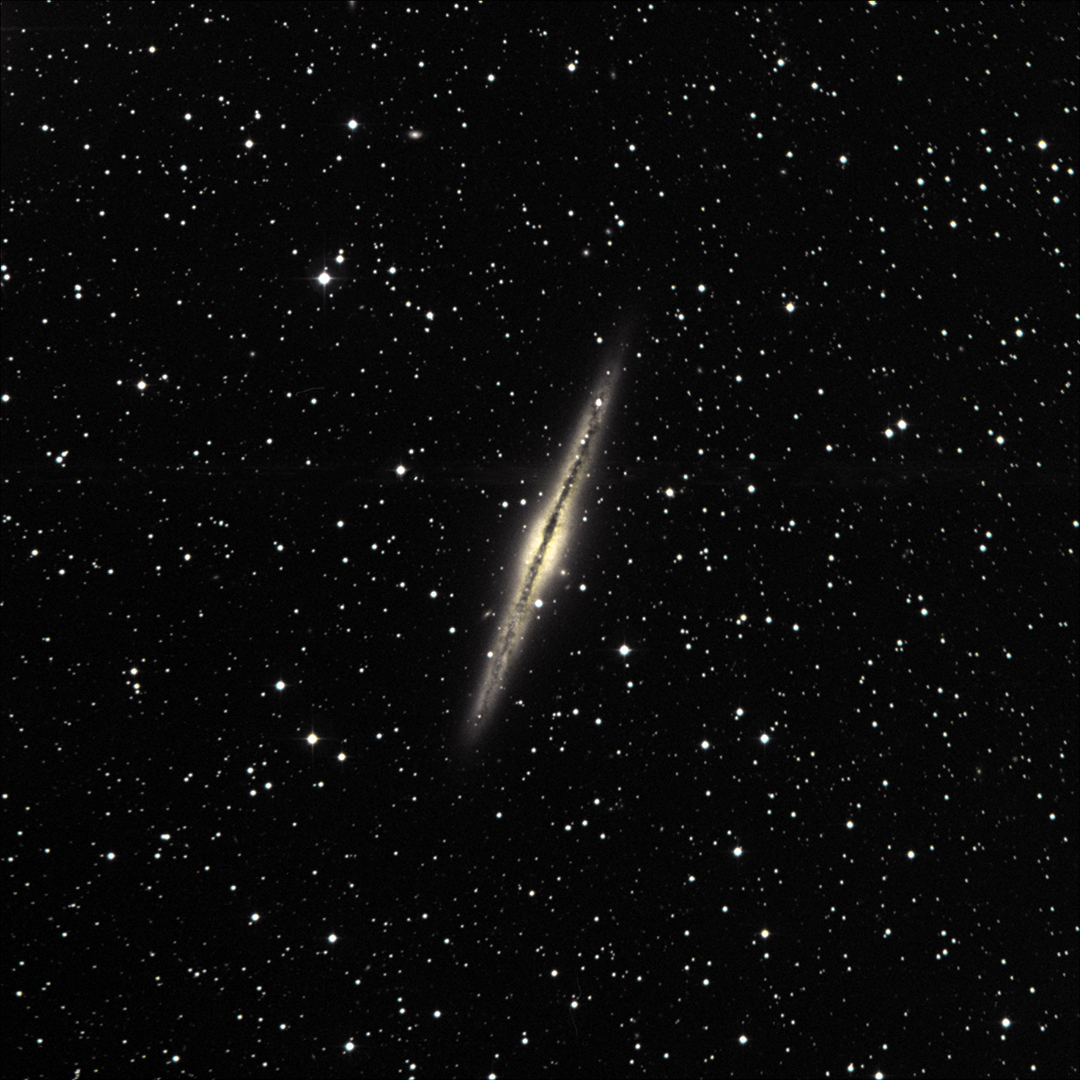 NGC 891