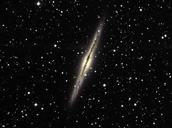NGC891